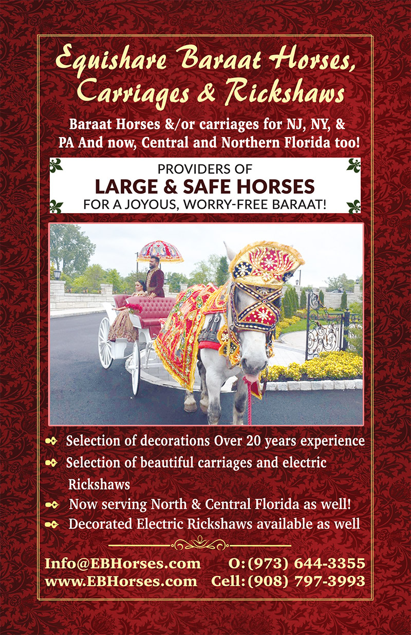 Equishare Baraat Horses