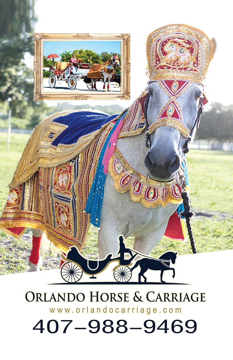 Orlando Horse & Carriage